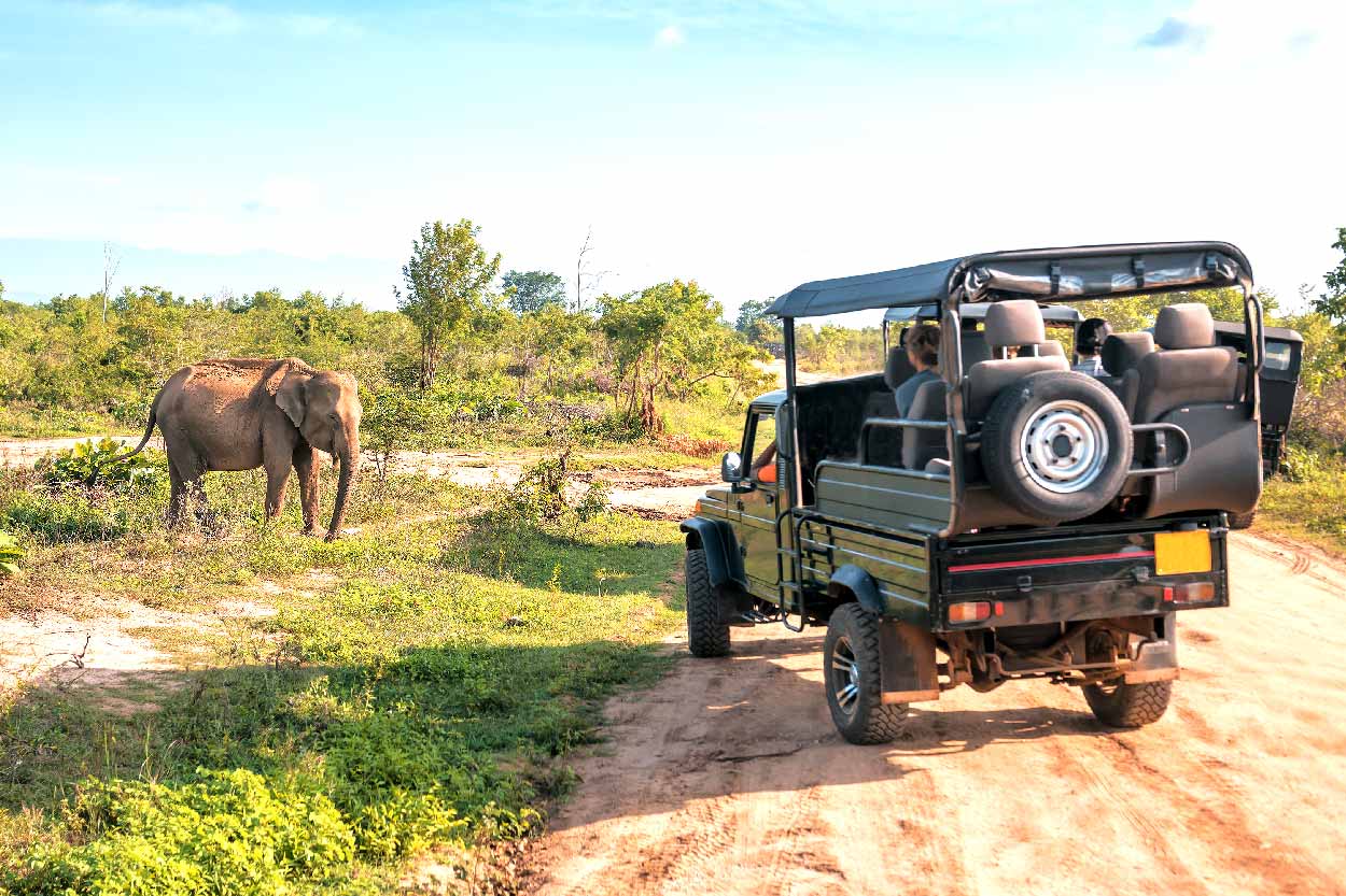 Southern National Park
